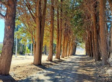 Terreno · 360m² · Venta Lote 360 m² - Loteo Pradera Esmeralda - Plottier