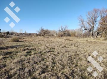 Quinta vacacional · 13384m² · En Venta, Una Hectárea y Media, China Muerta, Plottier.