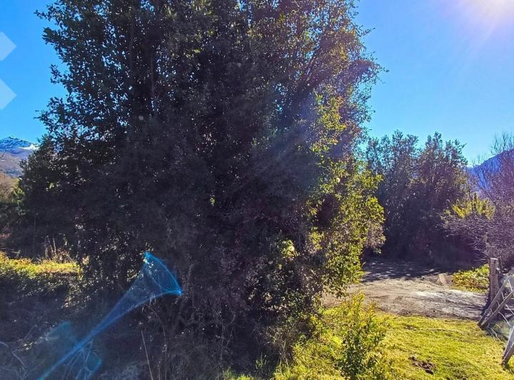 Terreno · 2500m²