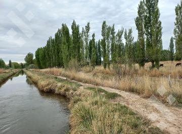 Campo · 340000000ha · En Venta, Chacras Productivas de 34 Ha, Entre Lamarque y Pomona.