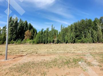 Terreno · 360m² · Venta Terreno 360 m² Mza P Lote 4 - Loteo "Pradera Esmeralda", Ciudad de Plottier.
