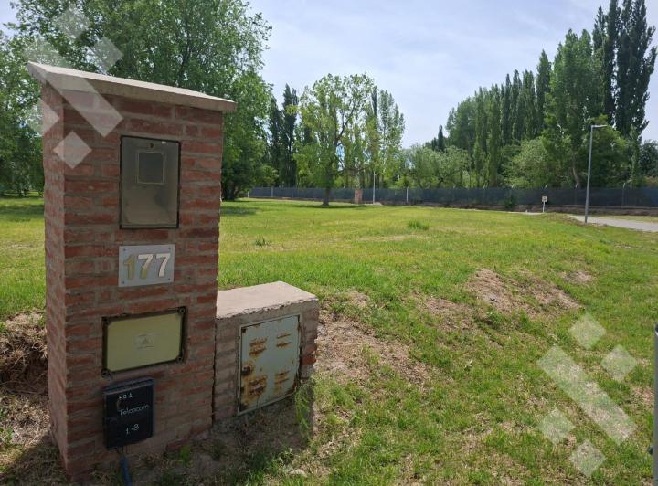 Terreno