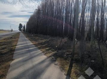 Campo · 210000m² · Venta Chacra 21 Hectáreas, Frente de Ruta Provincial 7, San Patricio del Chañar, Neuquen