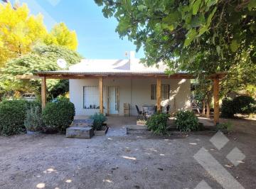 Campo · 35000m² · Venta Chacra 3,5ha en Producción Casa Galpón - Allen - Rio Negro