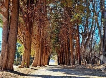 Terreno · 360m² · Terreno en Plottier