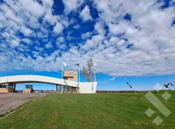 Terreno · 1004m² · Terreno en Venta, Chocón Medio, Etapa Praderas. Usd18.000