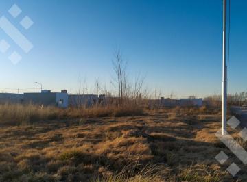 Terreno · 312m² · En Venta, Terreno de 312,5 m², Barrio Los Juanes, Allen