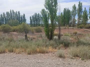Terreno · 14144m² · Venta de Chacra 1,5 Ha en Senillosa, Prov. Neuquen. Excelente Oportunidad