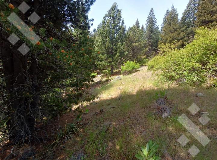 Terreno · 3000m²