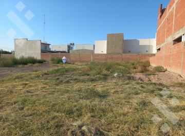 Terreno · 290m² · Venta Lotes 290 m² - B° Verdecchia, General Roca
