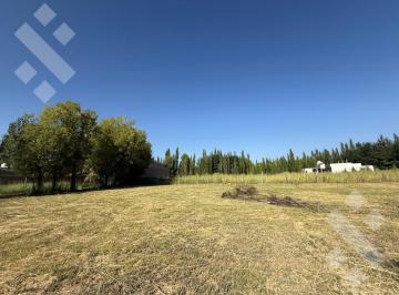 Terreno · 535m² · Venta Lotes de 535 m² - Loteo Salvio - Plottier