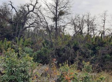 Terreno · 600m² · Venta - Terreno - Alto Kaleuche Manzana 3 Lote 25 - San Martin de Los Andes