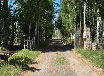 Campo · 84500ha · 5 Ambientes · Venta Chacra 8,45 Ha - 5 Esquinas, Cipolletti
