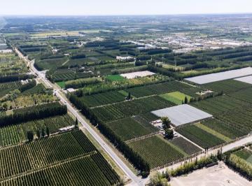 Campo · 70000m² · Venta de Chacra con Frente de Ruta 22, Allen