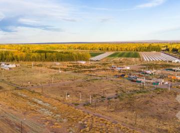 Terreno · 300m² · Venta Lote - El Gauchito, Plottier