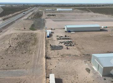 Bodega-Galpón · 1000ha · Alquiler Galpón en 1 Ha - Rp 67 - Neuquén