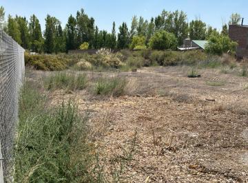 Terreno · 533m² · Terreno en Plottier