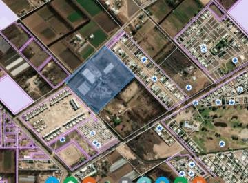Campo · 60000m² · En Venta | Chacra de 6 Ha | Neuquén Capital