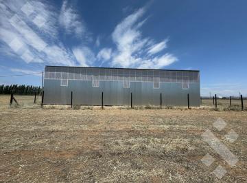 Bodega-Galpón · 300m² · Alquiler Galpon 300 m² - Finca La Deseada - Plottier