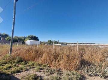 Terreno · 5817m² · Alquiler Terreno Barda del Medio