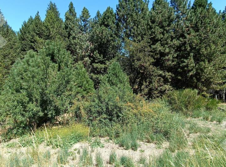 Terreno · 852m²