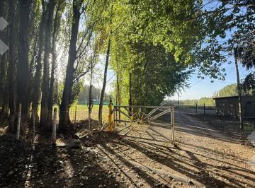Terreno · 3850m² · En Venta | Terreno en China Muerta con Quincho | Plottier