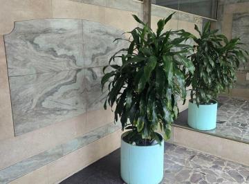 Departamento de 3 ambientes, Villa Luro · Excelente Departamento de 3 Ambientes Fte Al Boulevard de La Calle C. Ramon Falcon