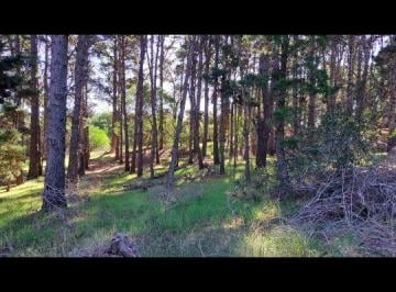 Terreno , Mar de las Pampas · Terreno de 1425 m² en Venta en Mar de Las Pampas Lote Comercial