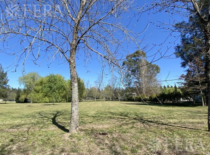 Terreno · 1340m²