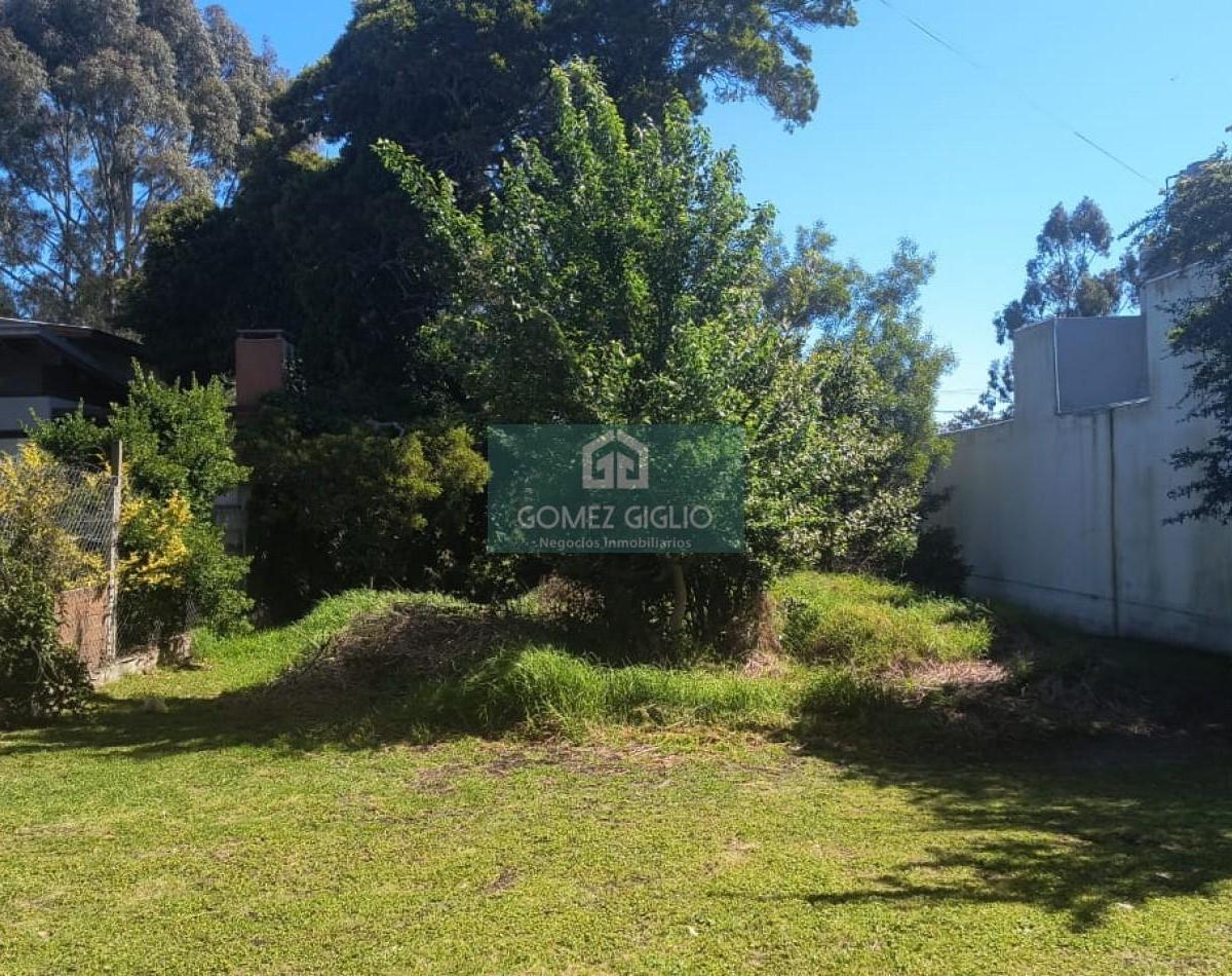 En la mejor zona. Calle 495 entre 10 y 12, a cuatro cuadras del mar. Superficie de 405 mts