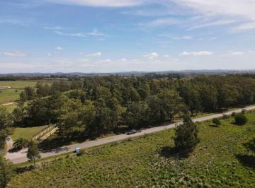 Terreno · 280000m² · Gran Terreno en Venta - Sobre Camino Eguzquiza