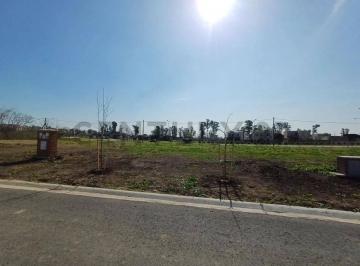 Terreno · 530m² · Excelente Lote en Venta en Barrio Privado Santa Sofia en Pilar del Este