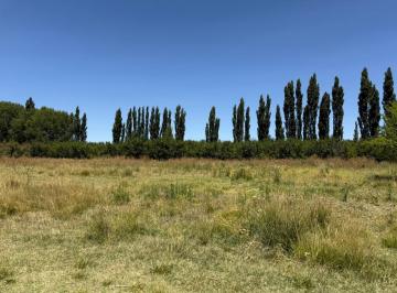 Campo · 170m² · 3 Ambientes · Venta 9 Hectáreas en Plottier Neuquen