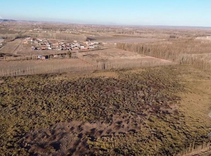 Terreno · 10ha