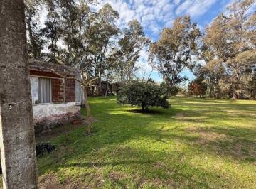 Terreno · 8140m² · Venta 2 Lotes – 8066 m² Totales - Berazategui