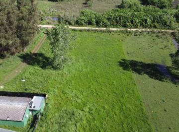 Campo · 95ha · Venta de Campo 5 Ha Ruta 8 Km. 34 Rincón de Pando