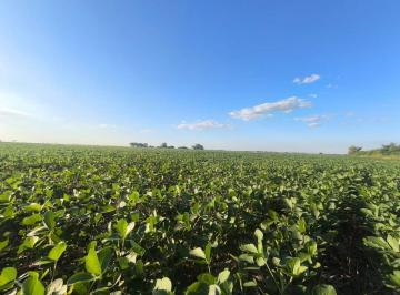Campo · 81ha · Se Vende Campo en Arroyo Aguiar - San Pedro