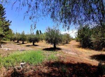 Terreno · 40000m² · Venta de Finca en Barrancas