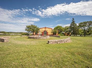 Campo · 1194ha · Inversion Casa Bodega 866 m² Viñedo 11 Has Ischilin