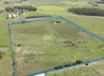 Campo · 8ha · Venta Campo 7,99 Hectáreas Próximo a San Jacinto