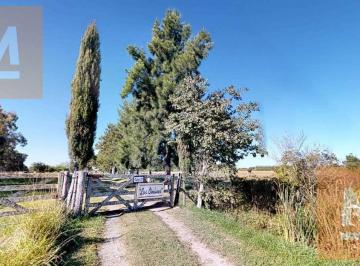 Campo · 450ha · 7 Ambientes · 1 Cochera · Chacra en Venta Ruta 11