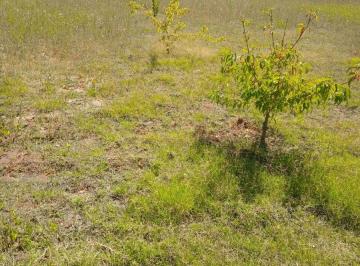Terreno , Rodeo del Medio · Venta Lote - Pedregal - Oportunidad Inversión