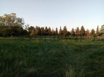 Campo · 100000m² · Campo en Venta