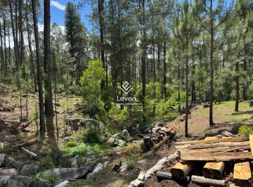 Terreno · 25000m² · Venta Campo en Yacanto Calamuchita Costa de Rio