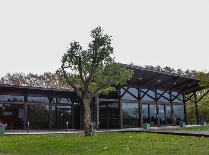 Terreno · 1000m²