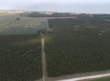 Campo · 210ha · Campo en Venta en Playa Rocosa Necochea