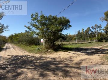Terreno · 2500m² · Terreno en Venta 2500 m² Arturo Segui Ideal Quinta.