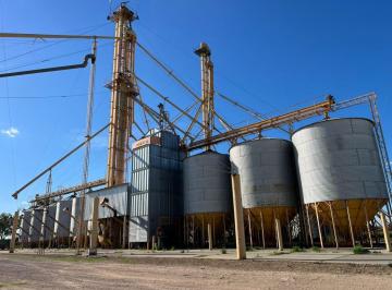 Campo · 802m² · Importante Campo en Venta 802 Has a 100 Km de Bahia Blanca