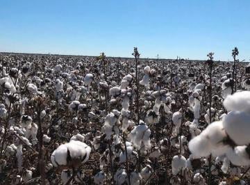 Campo · 6070000m² · Campo en Logroño