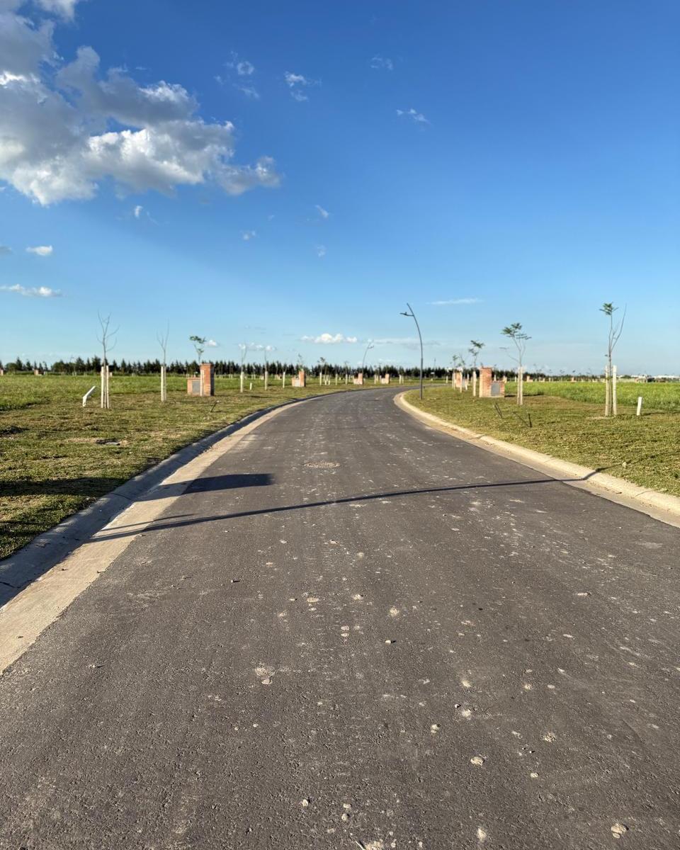 Avenida de los Lagos, Silvestre, Nordelta